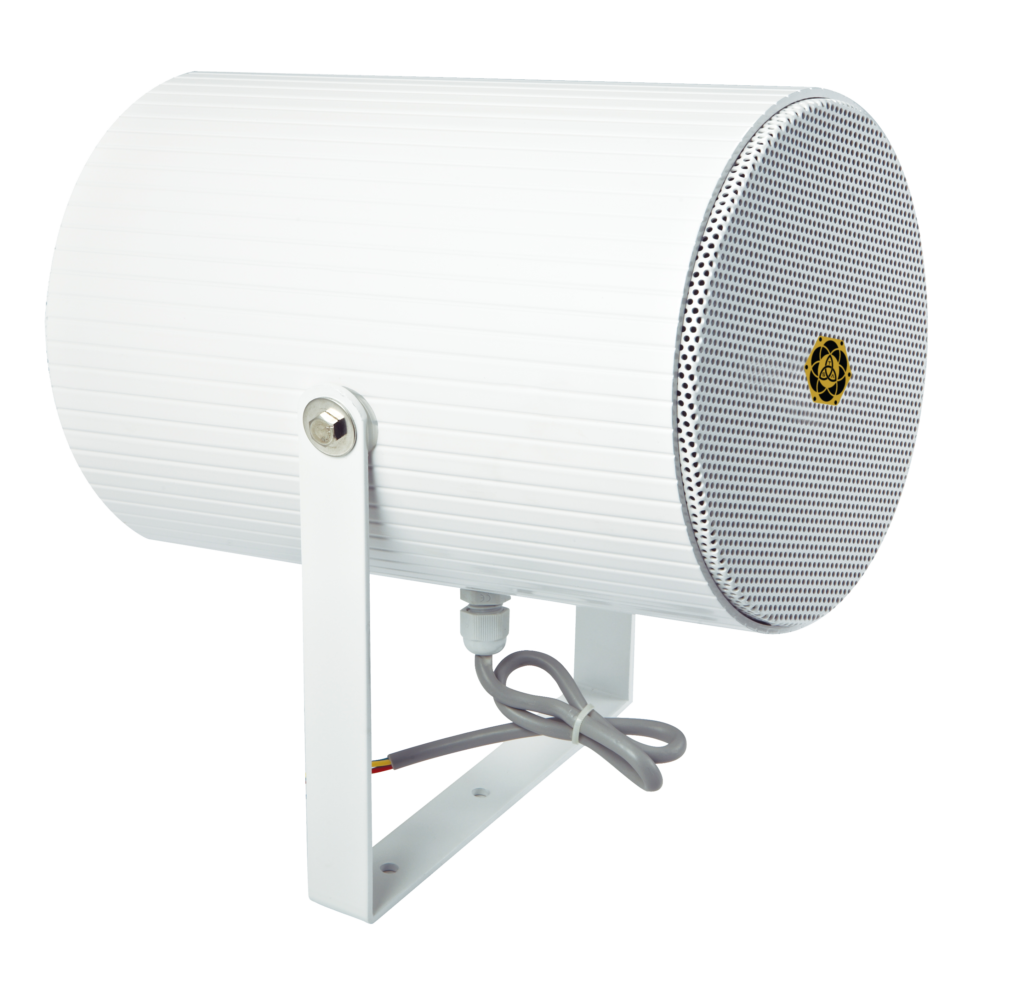 Dual-directional Projection Loudspeaker