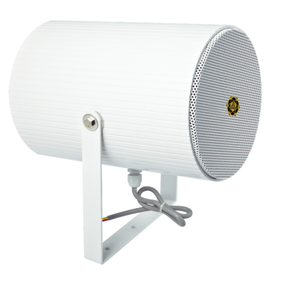 Dual-directional Projection Loudspeaker